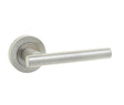 Frelan Hardware Door Furniture Satin Nickel / Round Rose Frelan - Petra Lever Handles on Round Rose - Satin Nickel