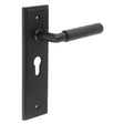 Frelan Hardware Door Furniture Black / Euro Profile Lock Handles Frelan - Piccadilly Door Handle Euro Backplate Matt Black