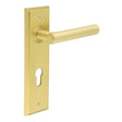 Frelan Hardware Door Furniture Satin Brass / Euro Profile Lock Handles Frelan - Richmond Door Handle Din Euro Backplate Satin Brass