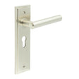 Frelan Hardware Door Furniture Satin Nickel / Euro Profile Lock Handles Frelan - Richmond Door Handle Euro Backplate Satin Nickel