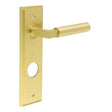 Frelan Hardware Door Furniture Satin Brass / Bathroom Lock Handles Frelan - Westminster Door Handle Din Bathroom Backplate Satin Brass