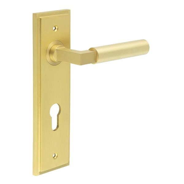 Frelan Hardware Door Furniture Satin Brass / Euro Profile Lock Handles Frelan - Westminster Door Handle Din Euro Backplate Satin Brass