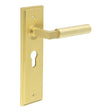 Frelan Hardware Door Furniture Satin Brass / Euro Profile Lock Handles Frelan - Westminster Door Handle Euro Backplate Satin Brass