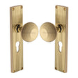 Heritage Brass Door Furniture Polished Brass / Mortice Knobs Heritage Brass Mortice Knob on Reeded Euro Profile Plate Beehive Design Polished Brass finish