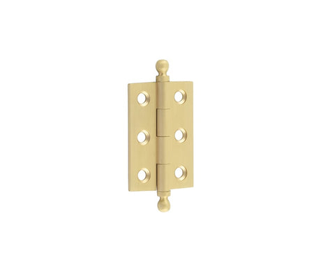 Frelan Hardware Hinges Satin Brass / 2" (51mm) / Finial Hoxton - 50x35mm SB Finial hinge