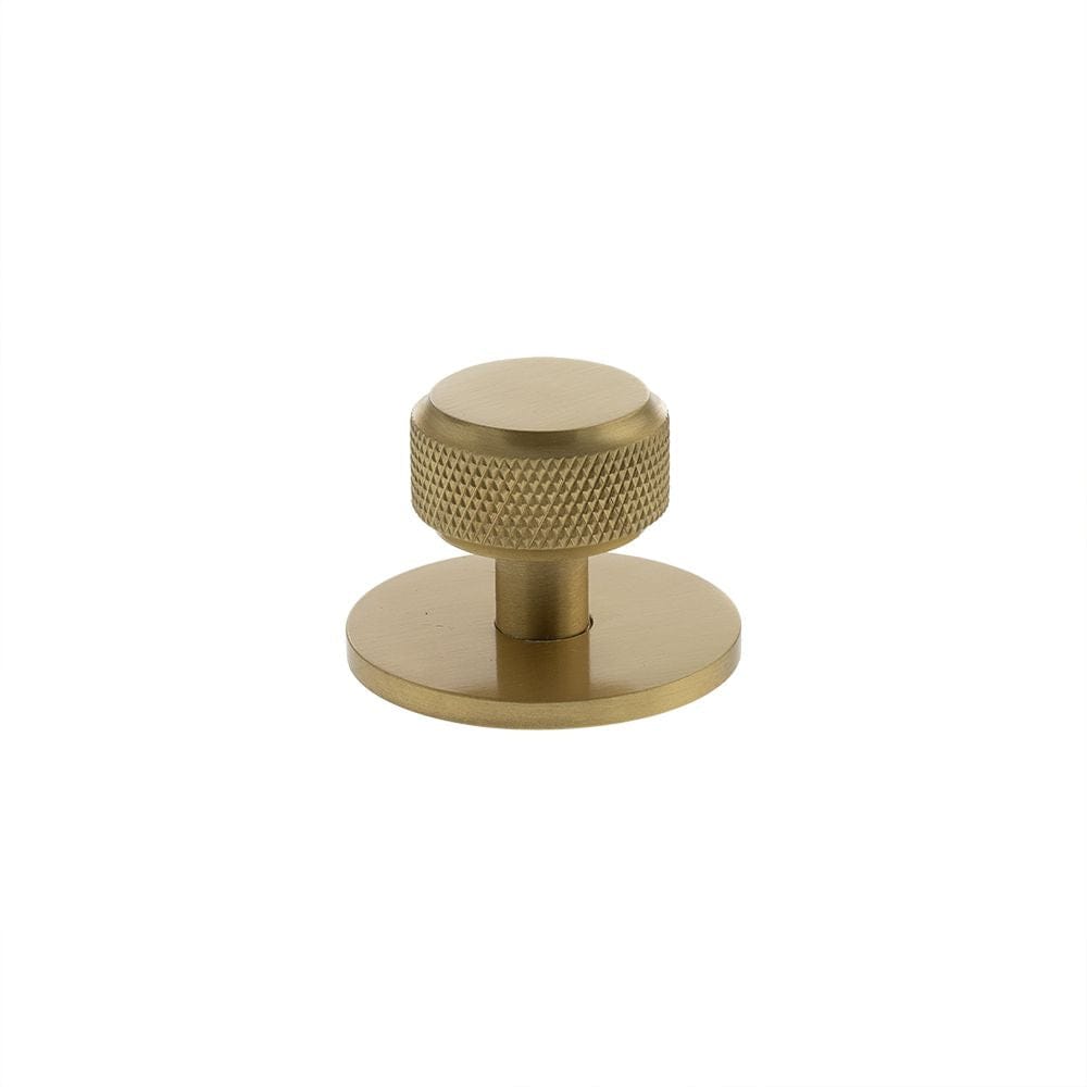 Millhouse Brass Cabinet Hardware Satin Brass / Cabinet Knobs Millhouse Brass Eiffel Knurled Round Cabinet Knob Handle on Backplate - Satin Brass