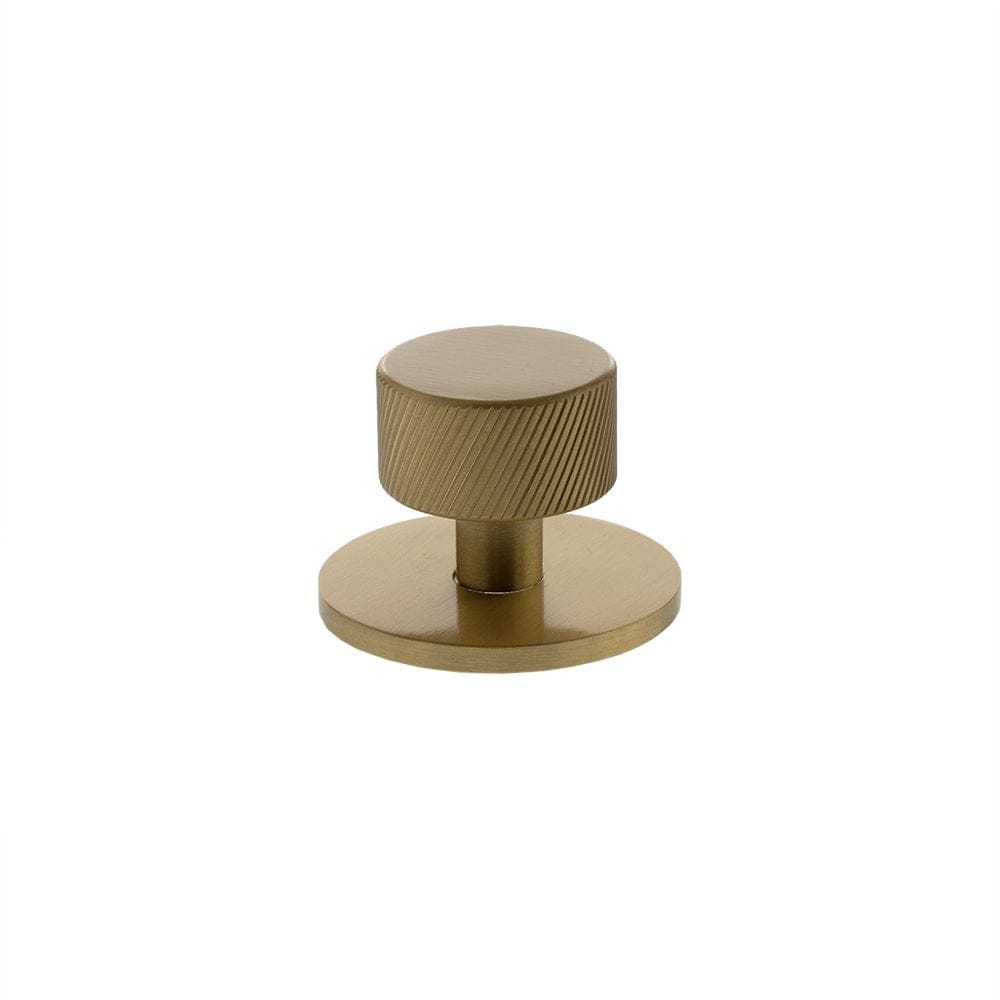 Millhouse Brass Cabinet Hardware Satin Brass / Cabinet Knobs Millhouse Brass Paddington Spiral Round Cabinet Knob Handle on Backplate - Satin Brass