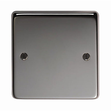 This is an image showing From The Anvil - BN Single Blank Plate available from trade door handles, quick delivery and discounted prices