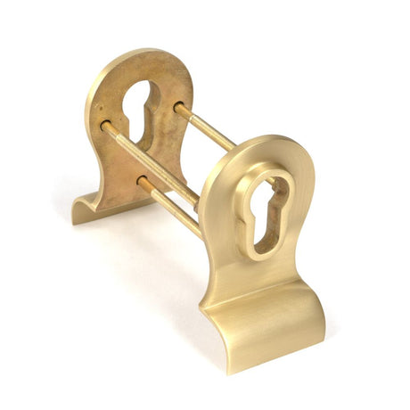 This is an image showing From The Anvil - Satin Brass 50mm Euro Door Pull (Back to Back fixings) available from trade door handles, quick delivery and discounted prices