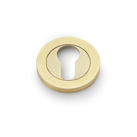 Alexander & Wilks Door Furniture Satin Brass PVD / Euro Profile Escutcheons Alexander & Wilks Concealed Fix Escutcheon Euro Profile - Satin Brass PVD