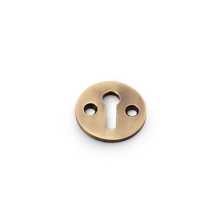 This is an image showing Alexander & Wilks Standard Profile Round Escutcheon - Antique Brass aw380-ab available to order from Trade Door Handles in Kendal, quick delivery and discounted prices.