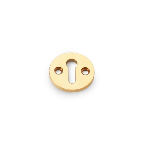 This is an image showing Alexander & Wilks Standard Profile Round Escutcheon - Unlacquered Brass aw380-ub available to order from Trade Door Handles in Kendal, quick delivery and discounted prices.