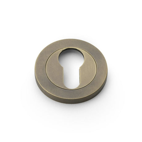 This is an image showing Alexander & Wilks Concealed Fix Escutcheon Euro Profile - Italian Brass aw390ib available to order from Trade Door Handles in Kendal, quick delivery and discounted prices.