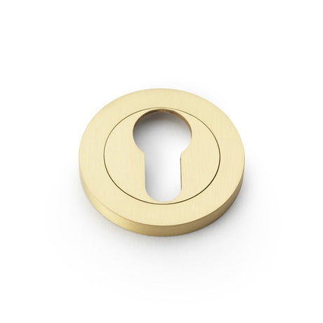 This is an image showing Alexander & Wilks Concealed Fix Escutcheon Euro Profile - Satin Brass aw390sb available to order from Trade Door Handles in Kendal, quick delivery and discounted prices.