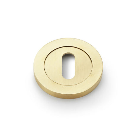 This is an image showing Alexander & Wilks Concealed Fix Escutcheon Standard Profile - Satin Brass PVD aw391sbpvd available to order from Trade Door Handles in Kendal, quick delivery and discounted prices.