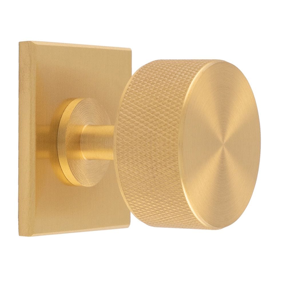 Carlisle Brass Cabinet Hardware Satin Brass / Cabinet Knob on Backplate Carlisle Brass - Knurled Radio Knob on Backplate