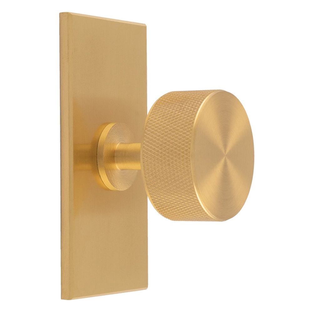 Carlisle Brass Cabinet Hardware Satin Brass / Cabinet Knob on Backplate Carlisle Brass - Knurled Radio Knob on Backplate