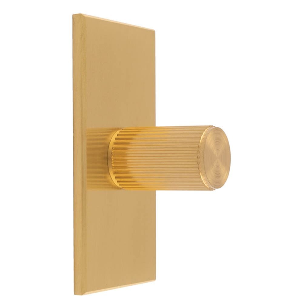 Carlisle Brass Cabinet Hardware Satin Brass / Cabinet Knob on Backplate Carlisle Brass - Lines Cylinder Knob on Backplate