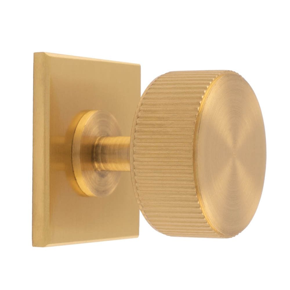 Carlisle Brass Cabinet Hardware Satin Brass / Cabinet Knob on Backplate Carlisle Brass - Lines Radio Knob on Backplate