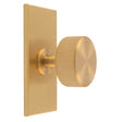 Carlisle Brass Cabinet Hardware Satin Brass / Cabinet Knob on Backplate Carlisle Brass - Lines Radio Knob on Backplate