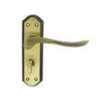 Carlisle Brass Door Furniture Florentine Bronze / Bathroom Lock Handles Carlisle Brass - Lytham Lever on WC backplate - Florentine Bronze
