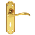 Carlisle Brass Door Furniture Polished Brass / Std. Lock Handles Carlisle Brass - Madrid Lever on Lock Backplate - Polished Brass