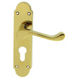 Carlisle Brass Door Furniture Polished Brass / Euro Profile Lock Handles Carlisle Brass - Oakley Lever on Euro Lock Backplate - Polished Brass