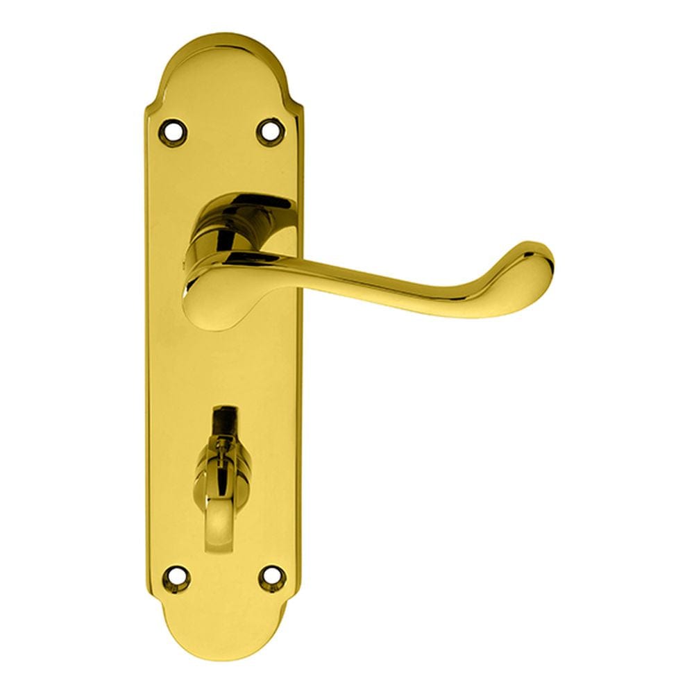 Carlisle Brass Door Furniture Stainless Brass / Bathroom Lock Handles Carlisle Brass - Oakley Lever on WC Backplate - Stainless Brass
