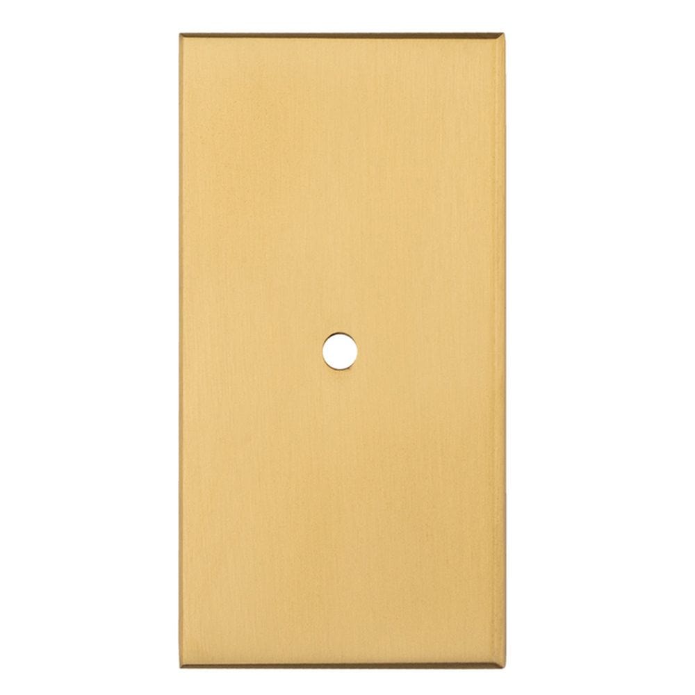 Carlisle Brass Cabinet Hardware Satin Brass / Cabinet Knob on Backplate Carlisle Brass - Rectangular Cupboard knob Backplate