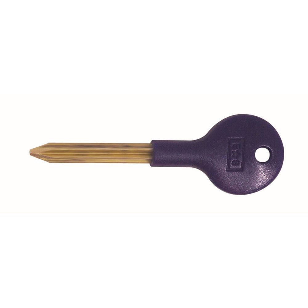 Carlisle Brass Locks & Latches Blue Nylon Carlisle Brass - Security Door Bolt Key - Blue Nylon