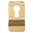 This is an image of a Carlisle Brass - Euro Profile Cylinder Pull - Satin PVD that is availble to order from Trade Door Handles in Kendal.