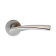 Eurospec Door Furniture Satin Stainless Steel / Round Rose Eurospec - Designer Lever on Sprung Rose - Satin Stainless Steel