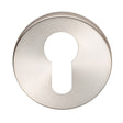 Eurospec Door Furniture Satin Stainless Steel / Euro Profile Escutcheons Eurospec - Euro Escutcheon - Satin Stainless Steel