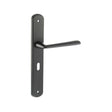 Forme Door Furniture Matt Black / Std. Lock Handles Forme Brigette Solid Brass Key Lever on Backplate - Matt Black