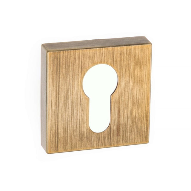 Forme Door Furniture Yester Bronze / Euro Profile Escutcheons Forme Euro Escutcheon on Minimal Square Rose - Yester Bronze