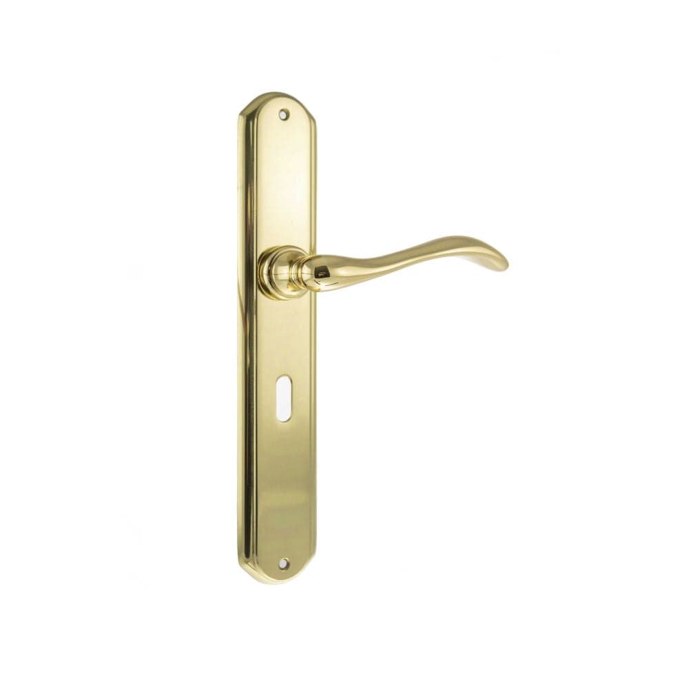 Forme Door Furniture Polished Brass / Std. Lock Handles Forme Valence Solid Brass Key Lever on Backplate - Polished Brass