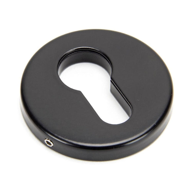 From The Anvil Door Furniture Black / Euro Profile Escutcheons From The Anvil - Black 52mm Regency Concealed Escutcheon