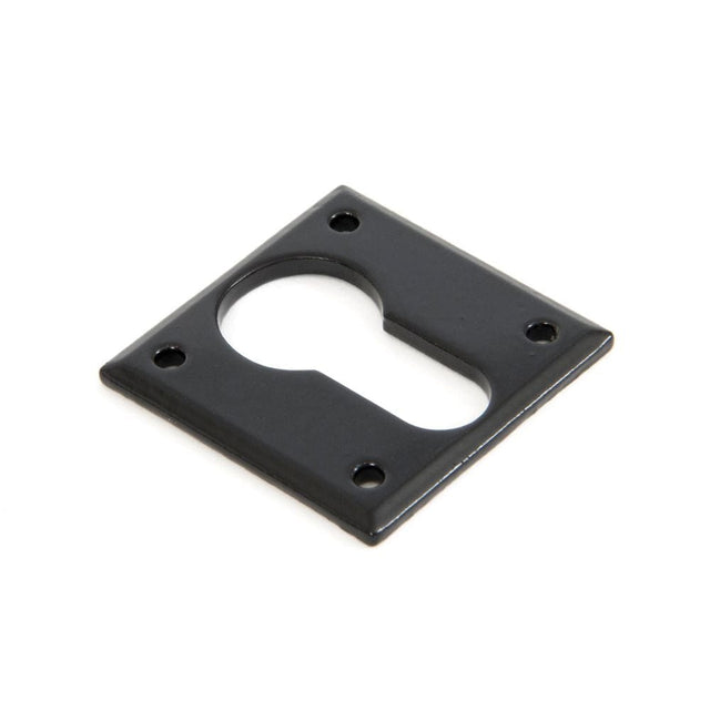 From The Anvil Door Furniture Black / Euro Profile Escutcheons From The Anvil - Black Avon Euro Escutcheon