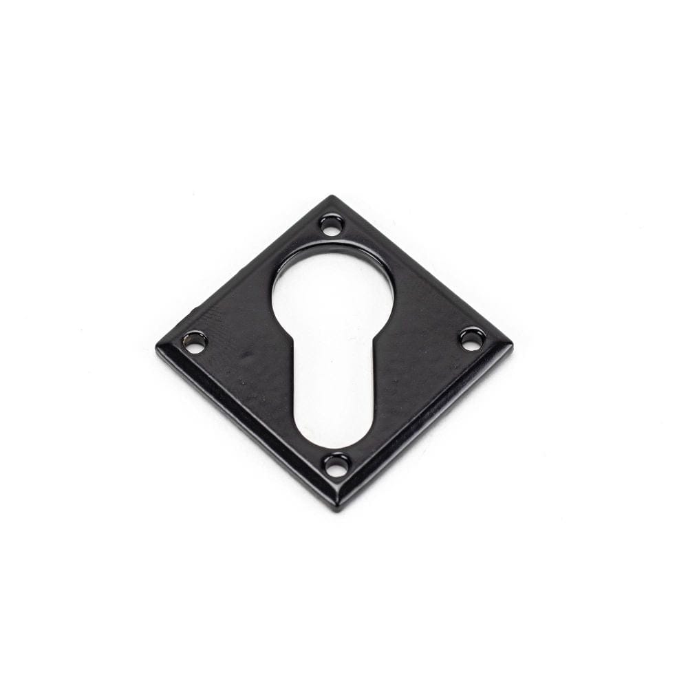 From The Anvil Door Furniture Black / Euro Profile Escutcheons From The Anvil - Black Diamond Euro Escutcheon