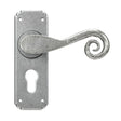 From The Anvil Door Furniture Pewter Patina / Euro Profile Lock Handles From The Anvil - Pewter Monkeytail Lever Euro Lock Set