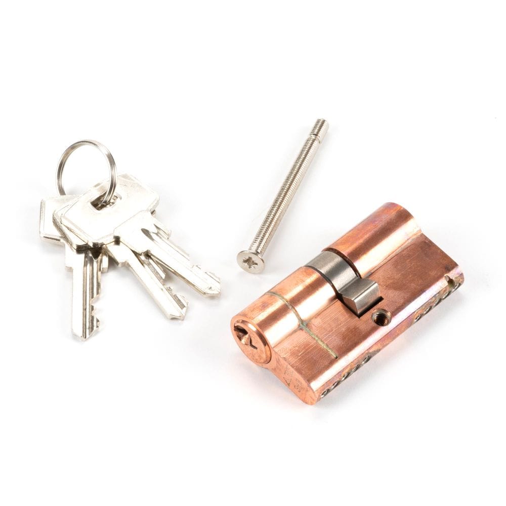 From The Anvil Locks & Latches Polished Bronze / Euro Double Cylinders / 30 x 30mm From The Anvil - Polished Bronze 30/30 5pin Euro Cylinder KA