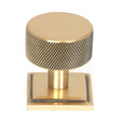 From The Anvil Cabinet Hardware Polished Bronze / Cabinet Knobs / 32mm Dia. From The Anvil - Polished Bronze Brompton Cabinet Knob - 32mm (Square)