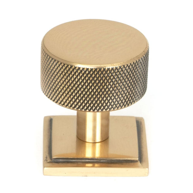 From The Anvil Cabinet Hardware Polished Bronze / Cabinet Knobs / 32mm Dia. From The Anvil - Polished Bronze Brompton Cabinet Knob - 32mm (Square)