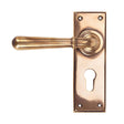 From The Anvil Door Furniture Polished Bronze / Euro Profile Lock Handles From The Anvil - Polished Bronze Newbury Lever Euro Lock Set