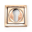 From The Anvil Door Furniture Polished Bronze / Euro Profile Escutcheons From The Anvil - Polished Bronze Round Euro Escutcheon (Square)