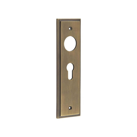 This is an image of a Burlington - Euro Profile Lock Plate Choices  that is availble to order from Trade Door Handles in Kendal.