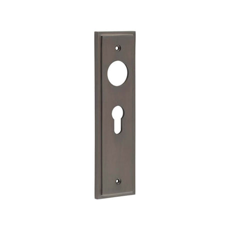 This is an image of a Burlington - Euro Profile Lock Plate Choices  that is availble to order from Trade Door Handles in Kendal.