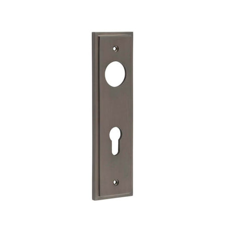 This is an image of a Burlington - Din Euro Profile Lock Plate Choices  that is availble to order from Trade Door Handles in Kendal.