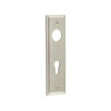 This is an image of a Burlington - Din Euro Profile Lock Plate Choices  that is availble to order from Trade Door Handles in Kendal.