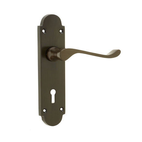 This is an image of a Frelan - Epsom Standard Lock Handles on Backplates - Dark Bronze  that is availble to order from Trade Door Handles in Kendal.